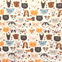 בד כלבים וחתולים 